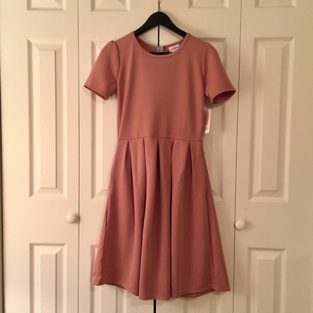 NWT LuLaRoe Amelia Dress